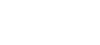 REINSE Member Logo